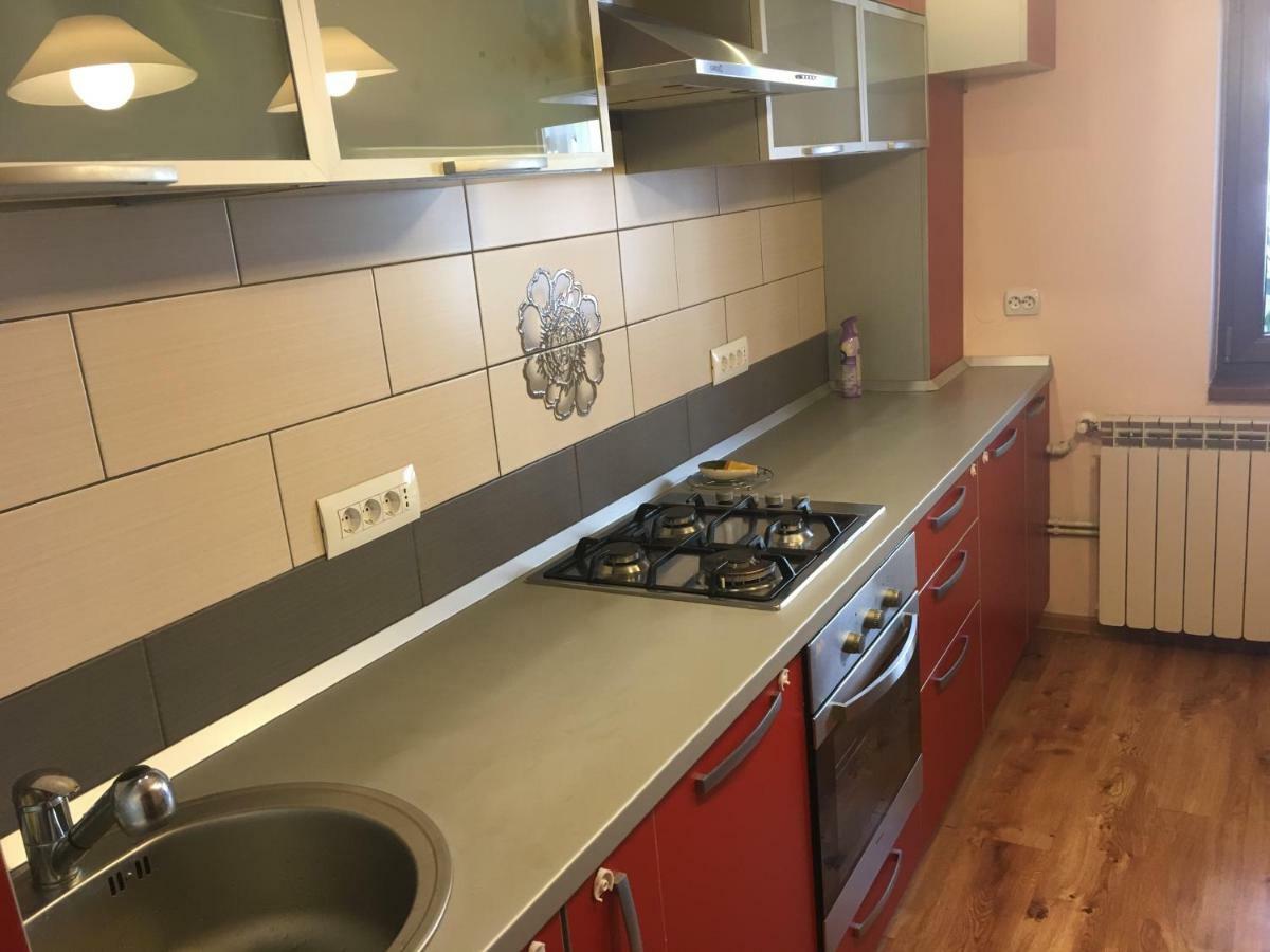 Tîrgu OcnaApartament Antoniaアパートメント エクステリア 写真
