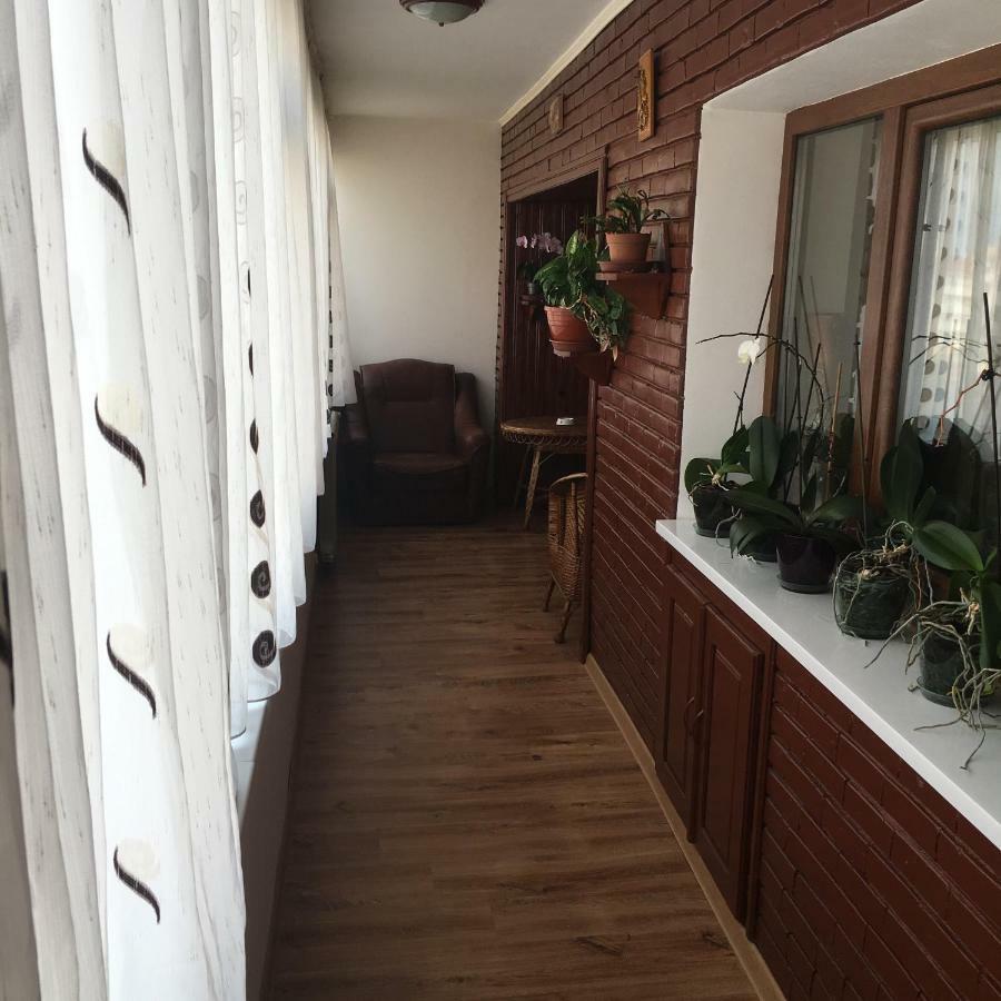 Tîrgu OcnaApartament Antoniaアパートメント エクステリア 写真